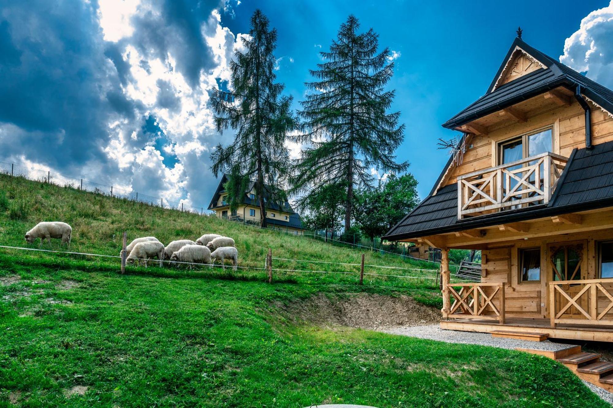 Chalet Szarotka, Rozeta I Parzenica